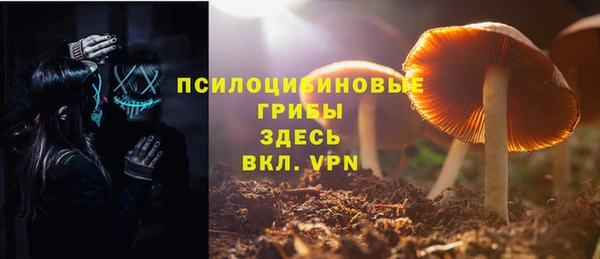 тгк Богородицк