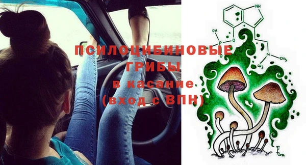 тгк Богородицк