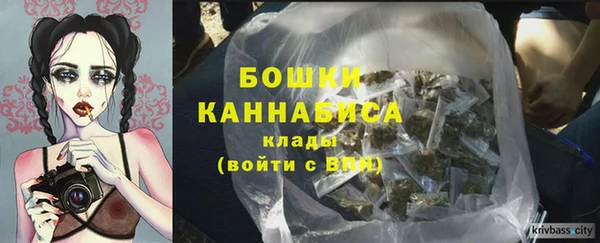 тгк Богородицк