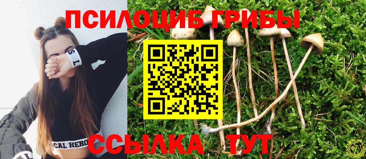 Галлюциногенные грибы GOLDEN TEACHER Северск