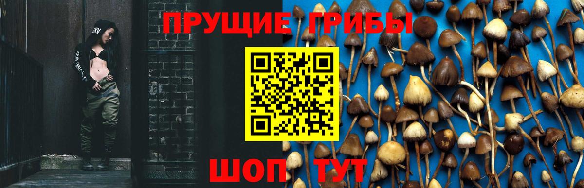 Псилоцибиновые грибы MAGIC MUSHROOMS  Вход с VPN  Псилоцибиновые грибы ЛСД  Северск 